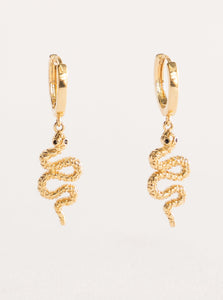 Elegant Destruction Earrings